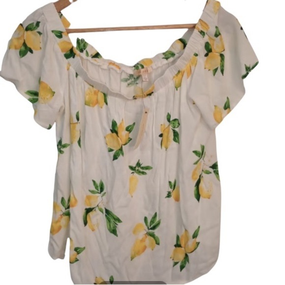 Lemon Print Women’s 3X Curvy Plus Ruffle Cottagecore‎ Blouse Top  SKIES ARE BLUE - Picture 2 of 2